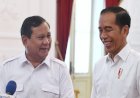 Projo Duga PDIP Berusaha Pisahkan Jokowi dan Prabowo