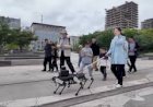 China Kembangkan Robot Pendamping Tunanetra