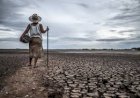 Makassar dan Semarang, Terdampak Besar Perubahan Iklim