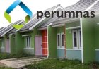 Perumnas Dapat PMN Rp1 Triliun Garap Rumah Layak Huni