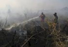 100 Hektar Lahan Hutan Lindung Danau Toba Kebakaran