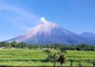 Gunung Semeru Erupsi Lagi