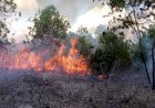 Karhutla Muara Enim Padam, 40 Ha Lahan Hangus