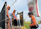 Bulog Jabar Serap Gabah Petani 103 Persen